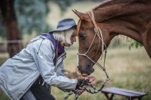 Story about ACT government warning about serious fire risk this year and horse owners having adequate fire plans to ...