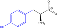 TYROSINE1.png