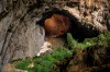 A cave explorer looks down into a large cave passage from the second doline in Hang Son Doong.