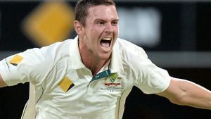 Howzat: Josh Hazlewood celebrates taking the wicket of Younis Khan.