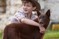 Levi Miller and Phoenix in <i>Red Dog: True Blue</i>.