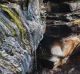 Outfall: A cliff sewer next to Eastern Avenue Reserve in Vaucluse on December 16.