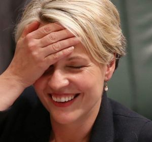 Deputy Opposition Leader Tanya Plibersek during Question Time at Parliament House in Canberra on Thursday 15 September ...