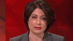 Labor frontbencher Terri Butler apologised for her comments on Q&A but Calum Thwaites said it wasn't good enough.