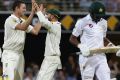 Assault: Josh Hazlewood is congratulated by Nathan Lyon after dismissing Wahab Riaz.