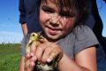 Kataylah Rose Cooper holds a duckling found in the wetlands on the property her father manages in the Macquarie Marsh.