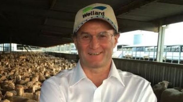 Wellard CEO Mauro Balzarini at the company feedlot in Baldivis, Western Australia.