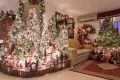 A Meadow Springs couple decorate their entire home with Christmas decorations every year.