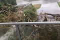 State Environment Minister Steven Miles was trapped in his home when Sunday's storm brought down power lines in the ...