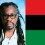 Freedom for Dr. Mutulu Shakur: More than Tupac’s Stepfather!  New Afrikan People’s Organization / Malcolm X Grassroots Movement