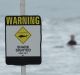 Multiple shark sightings have forced swimmers out the water at Cottesloe and City Beach. 