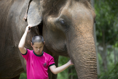 Krit, a 12-year-old student with disabilities, leads a female elephant at the Thai Elephant Research and Conservation Fund in Pak Chong district, Nakhon Ratchasima province, Thailand on May 25th 2016. The Elephant Education Program for Blind and...