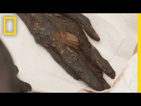 Stolen Mummy's Left Hand Found and Returned to Egypt | National Geographic