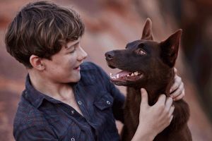 Levi Miller and Phoenix in <i>Red Dog: True Blue</i>.