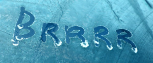 FROSTED WINDSHIELD