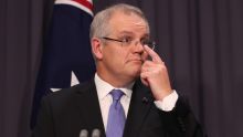 The release of the federal government's midyear budget review by Treasurer Scott Morrison this week suggests small ...