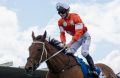 James McDonald after riding Who Shot Thebarman to victory in the Zipping Classic at Sandown Racecourse in November.