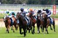 Jockey Ben Melham rides She Will Reign to win The Inglis Nursery at Royal Randwick.