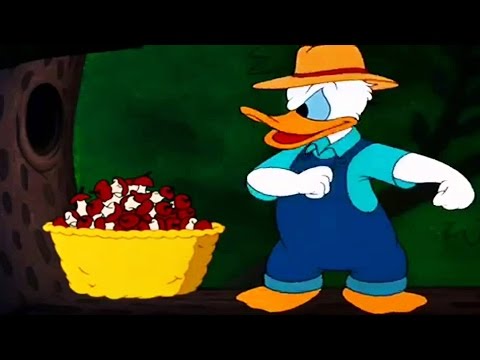 Donald Duck With Chip & Dale and Donald Nephews Cartoons Episodes New Collection # 7