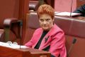 Pauline Hanson has given voice to some voters who would normally look to the Liberals but now have an alternative.