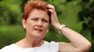 Pauline Hanson's stance on copyright protections could be crucial to whether legislation before the Senate is passed.