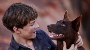 Levi Miller stars as Mick, the young boy who befriends a young kelpie, in Red Dog: True Blue. Bryan Brown and Syd ...