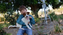 Small boy and dog