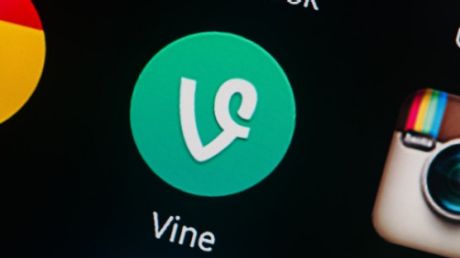 vine