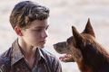 Levi Miller and canine friend in <i>Red Dog: True Blue</i>.