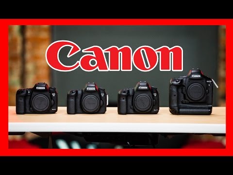 Which Canon DSLR Should You Buy: 1D X, 5D Mark III, 6D, 7D Mark II