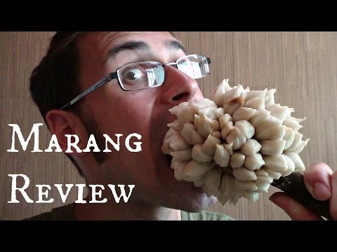 Marang Fruit Review - Weird Fruit Explorer in the Philippines - Ep 85