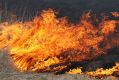 Firefighters are battling a grass fire in Carrum Downs.