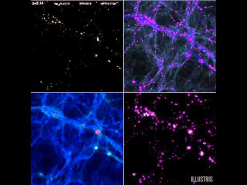 Stars, Gas, Temperature and Metallicity in the Illustris Simulation