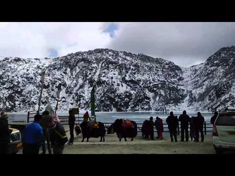 Sikkim Tour covering Gangtok Nathu La Changu Lake, Pelling. WAY TO HEAVEN