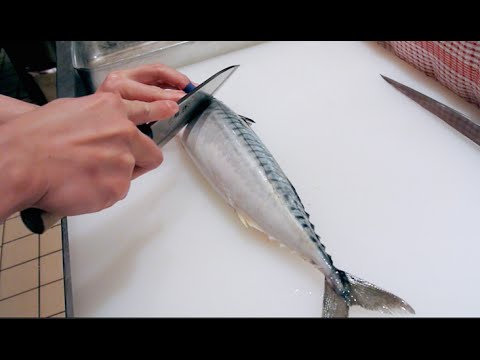 GRAPHIC - How to fillet a fish - Mackerel - Japanese technique - サバのさばき方