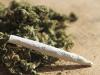 Cannabis sniffed out by traffic cops