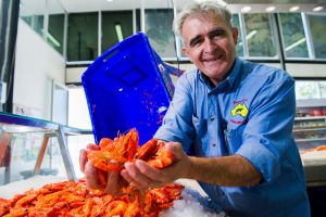 Fish Co Fish Market's, John Fragopoulos, on what's selling this Christmas. Photo Elesa Kurtz