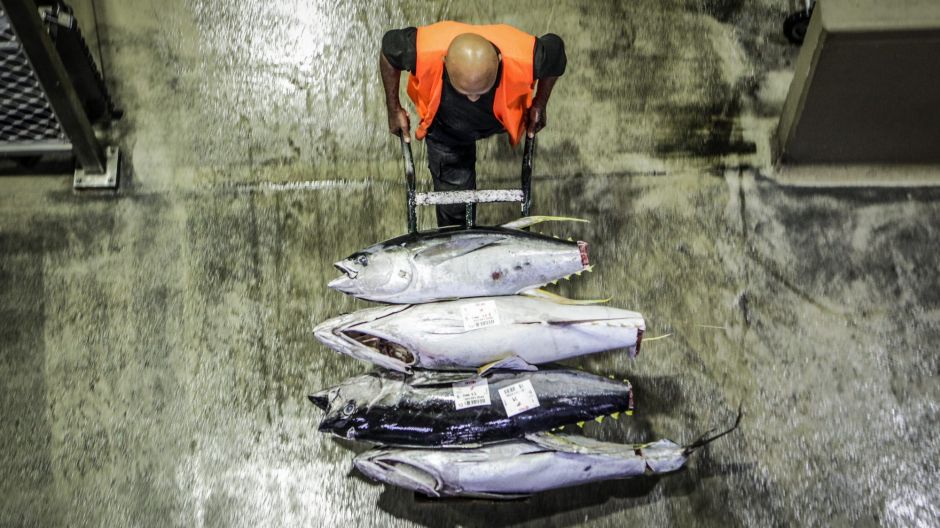 SMH NEWS 
A buyer wheels out some Yellow Fin Tuna after the sales at the Sydney Fish Markets. 17th December ...