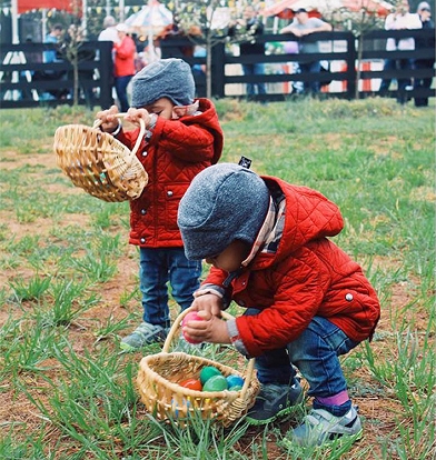 Zoë Saldana's twin sons Cy Aridio and Bowie Ezio, 16 months, celebrated Easter with an egg hunt.