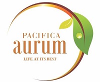 Logo - Pacifica Aurum Chennai South