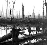 Chateau Wood Ypres 1917.jpg