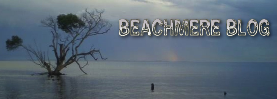 Beachmere Blog