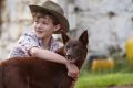 Crowd-pleaser: Levi Miller and Phoenix in <i>Red Dog: True Blue</i>.