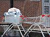 Time to get pushy on shopping trolleys