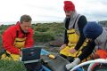 New Australian Antarctic Division director Nick Gales (left) with other scientists tagging a seal on Heard Island.