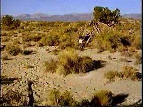 Native American Story of Mono Lake Paiute Indians