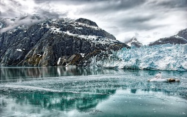 We went on a cruise to Glacier Bay in Alaska. It was the most magical place. They had turned the engines off and ...