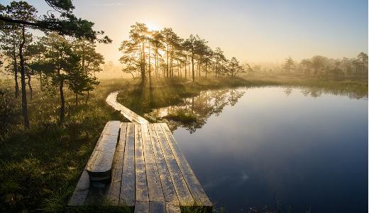 National parks