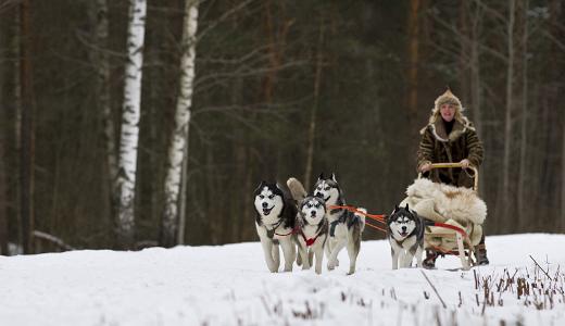 Outdoor winter adventures