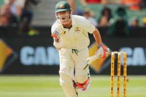 Big innings: David Warner celebrates after reaching his century.